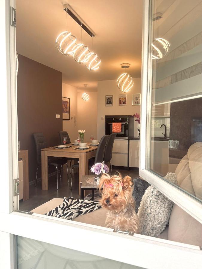 Downtownapartments Andy Air-Conditioned, Underground Parking Available ジェシュフ エクステリア 写真