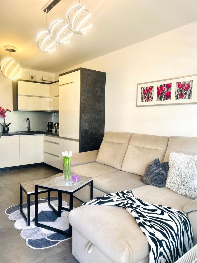 Downtownapartments Andy Air-Conditioned, Underground Parking Available ジェシュフ エクステリア 写真